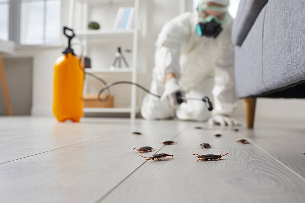 Commercial Kitchen Cockroach Control in Richlandtown